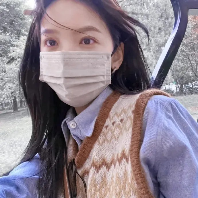 托梅斯的导盲犬